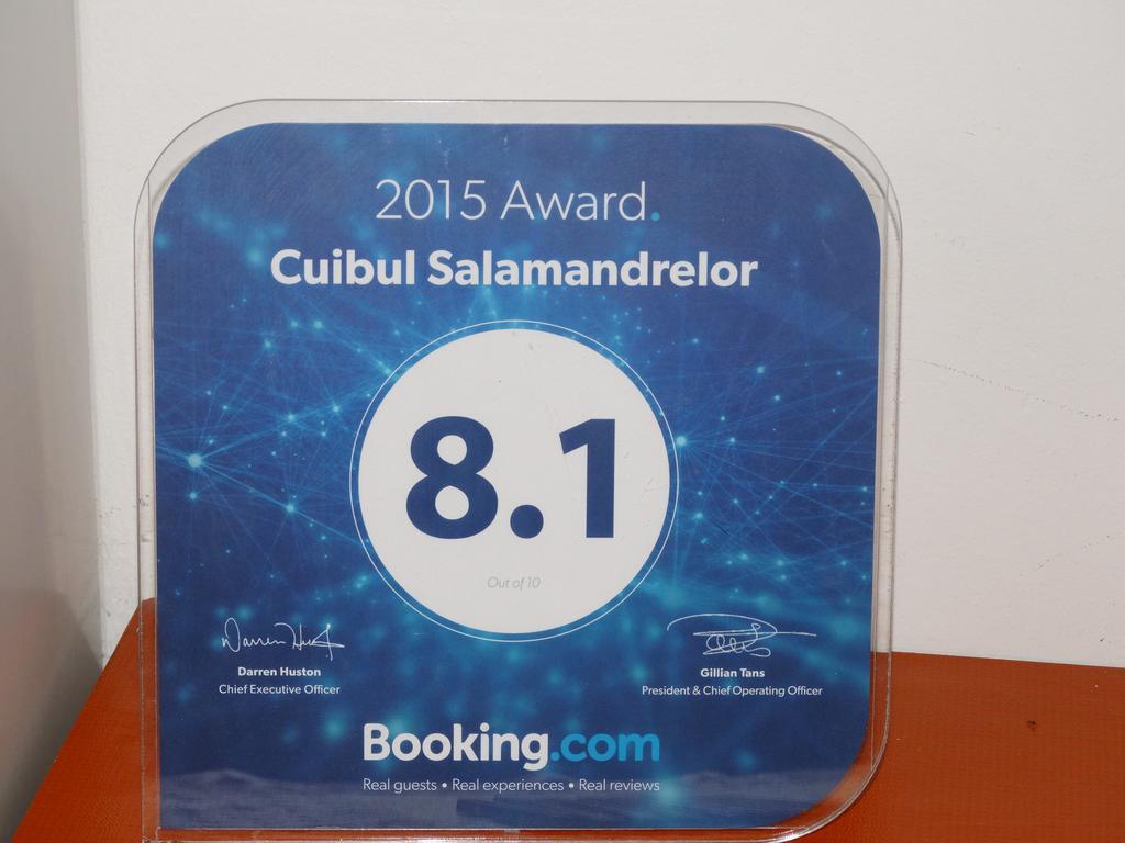 מלון סרמיסג'טוזה Cuibul Salamandrelor מראה חיצוני תמונה