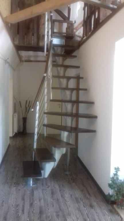 מלון סרמיסג'טוזה Cuibul Salamandrelor מראה חיצוני תמונה